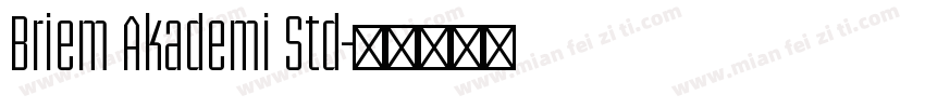 Briem Akademi Std字体转换
